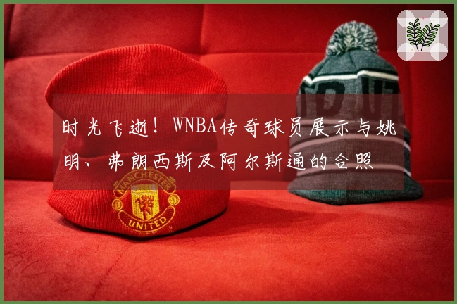 时光飞逝！WNBA传奇球员展示与姚明、弗朗西斯及阿尔斯通的合照