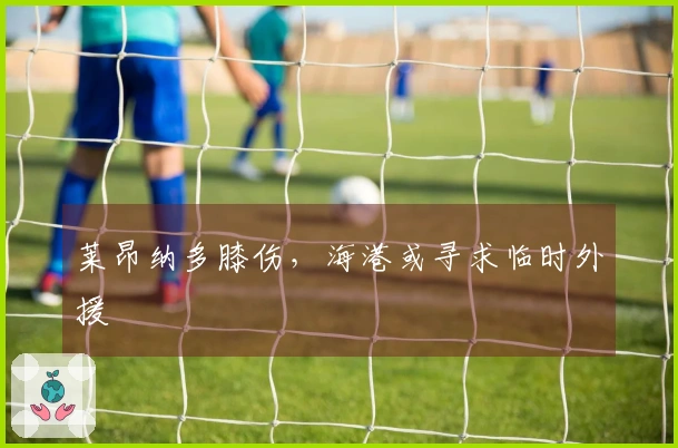 莱昂纳多膝伤，海港或寻求临时外援