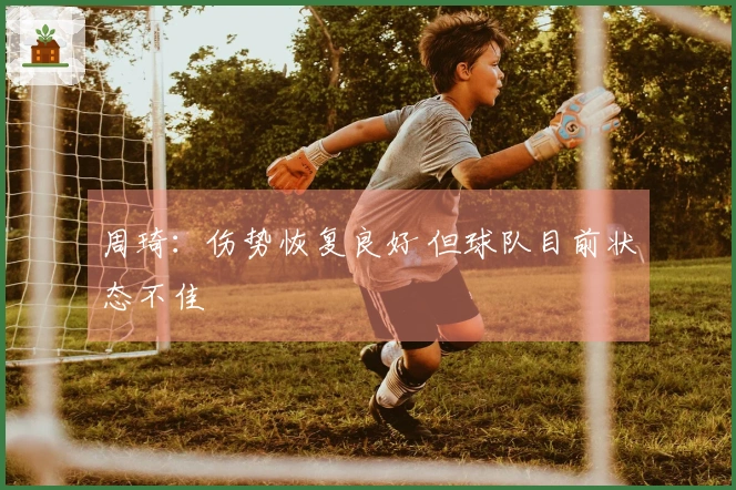 周琦：伤势恢复良好 但球队目前状态不佳